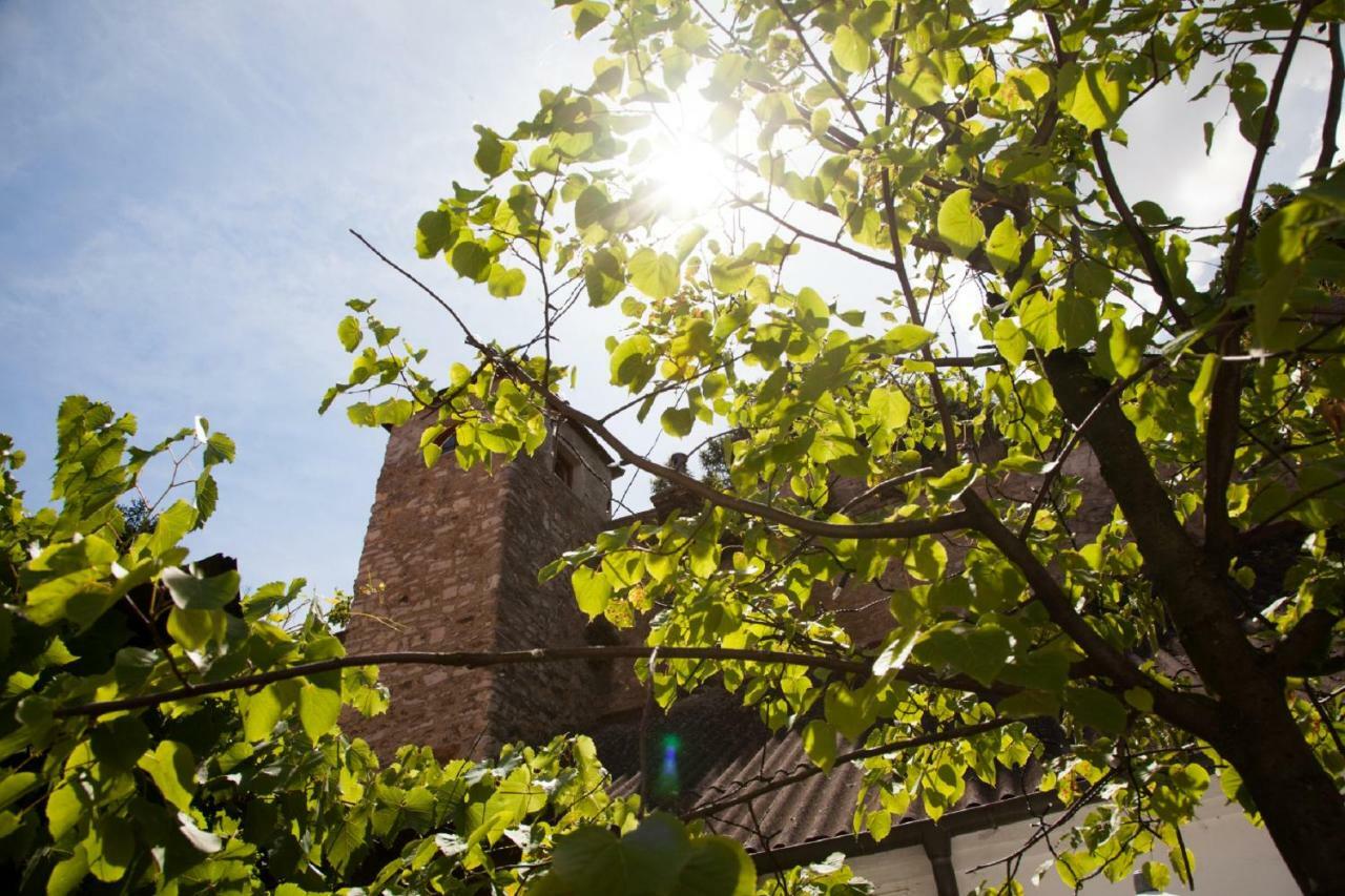 Gasthof Zum Goldenen Anker Hainburg an der Donau Exterior foto